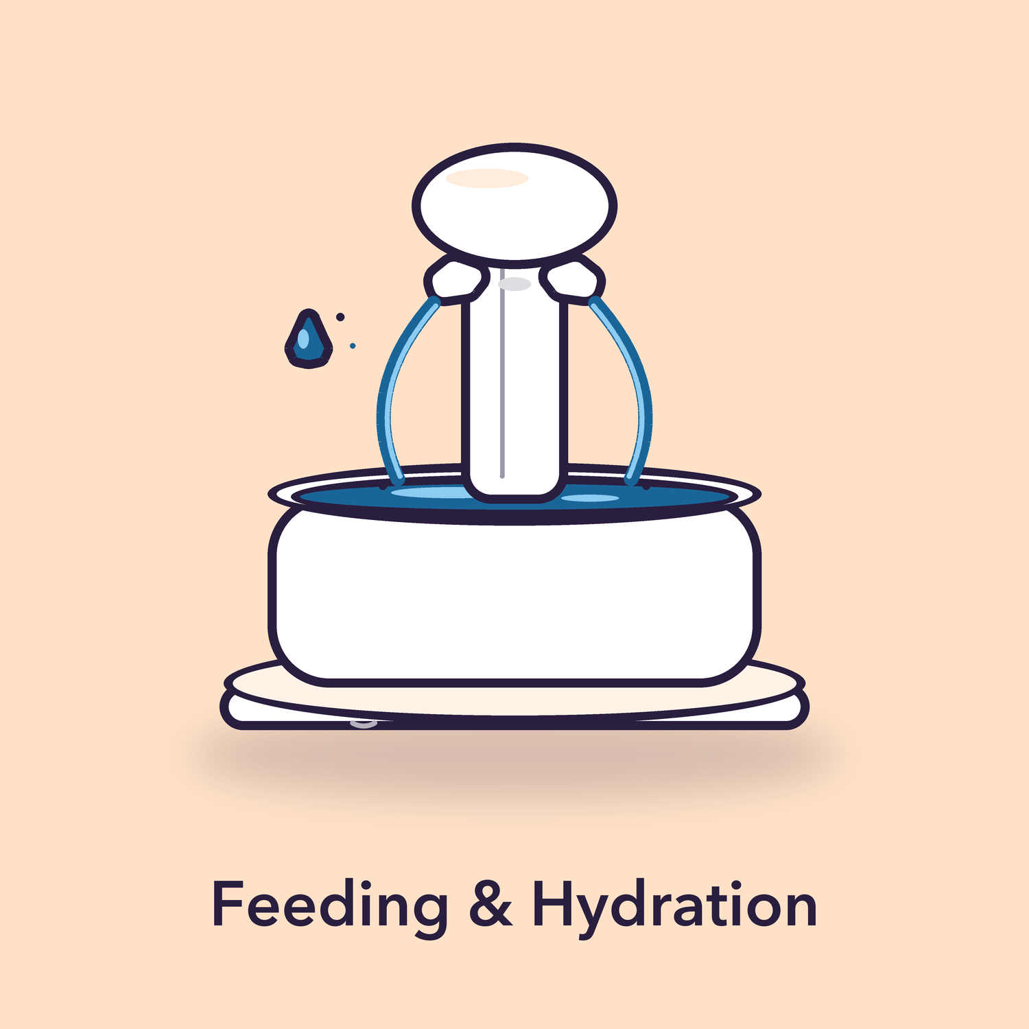 Feeding & Hydration